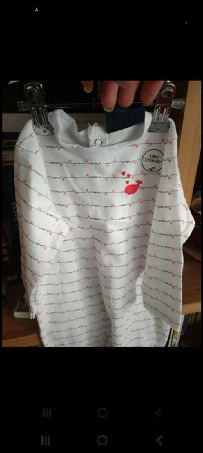 Lot 4 bodys + 1 dors bien en coton bio 6 mois - photo numéro 7