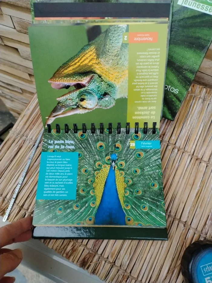 Livre GEO jeunesse nature - photo numéro 3