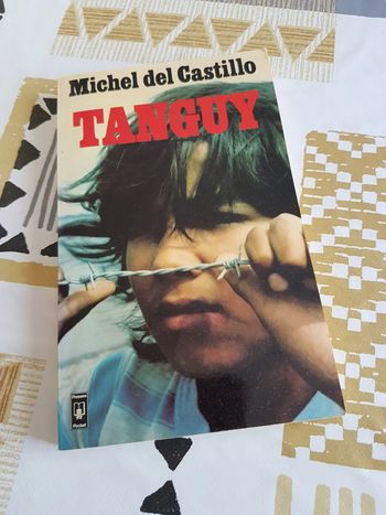 Tanguy de Michel del Castillo