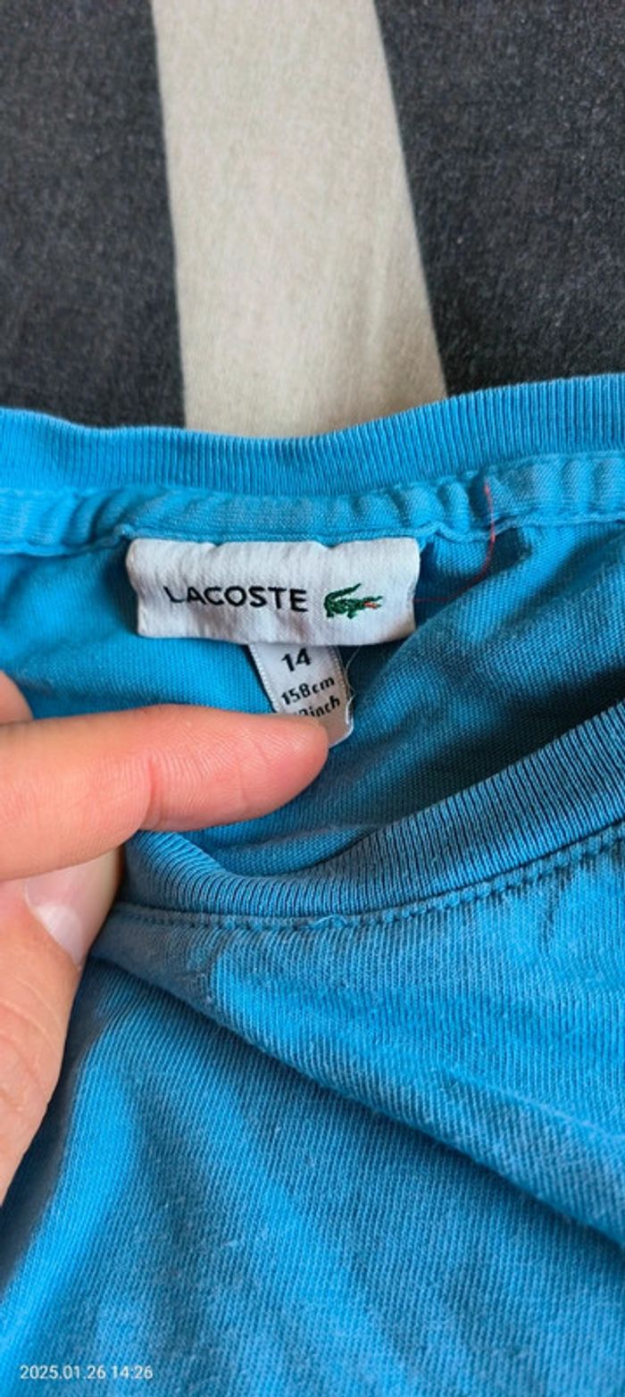 T-shirt Lacoste - photo numéro 2