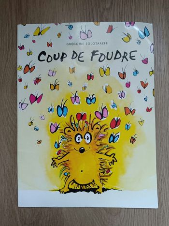 Livre coup de foudre école des loisirs