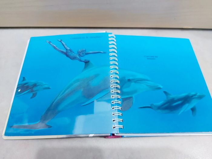 📚 Livre mes premières découvertes : Le dauphin - photo numéro 4