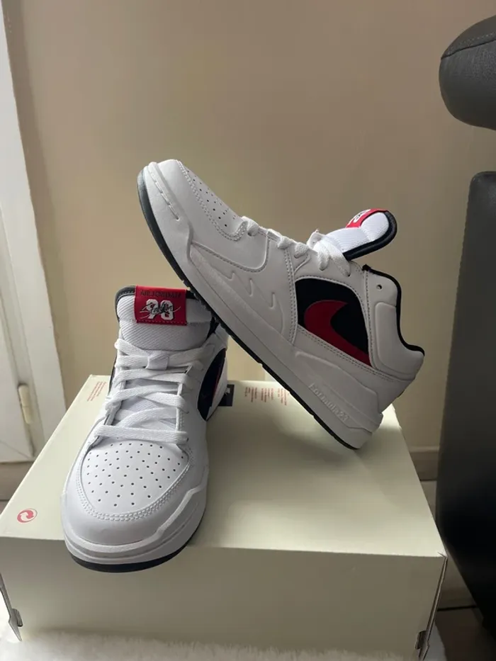 Basket Jordan stadium