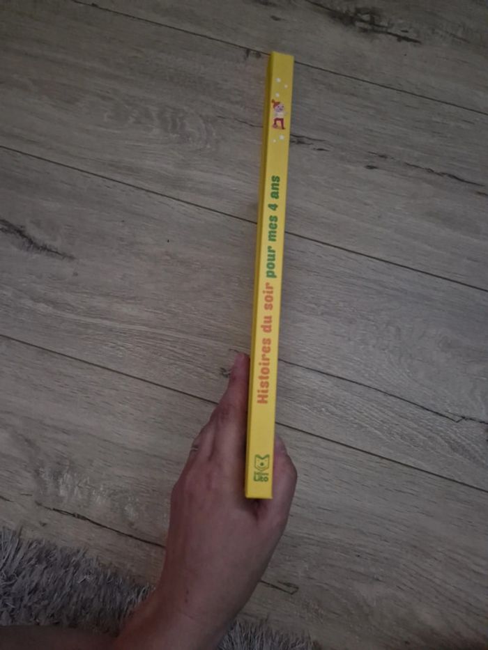 Livre 📖 Histoire du soir - photo numéro 3