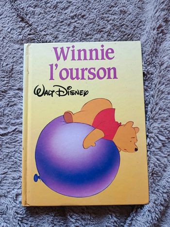 livre grand format Disney Winnie l'Ourson