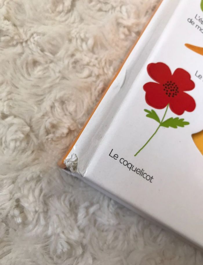 Couleurs - photo numéro 3