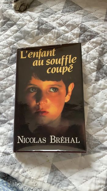 #l’enfant au souffle coupé Nicolas Bréhal