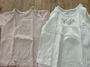 Lot de 2 t shirts 18 mois C&A