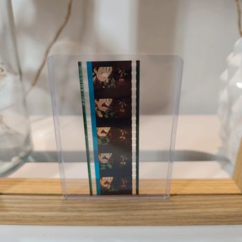 Pellicule demon slayer tanjiro et inosuke