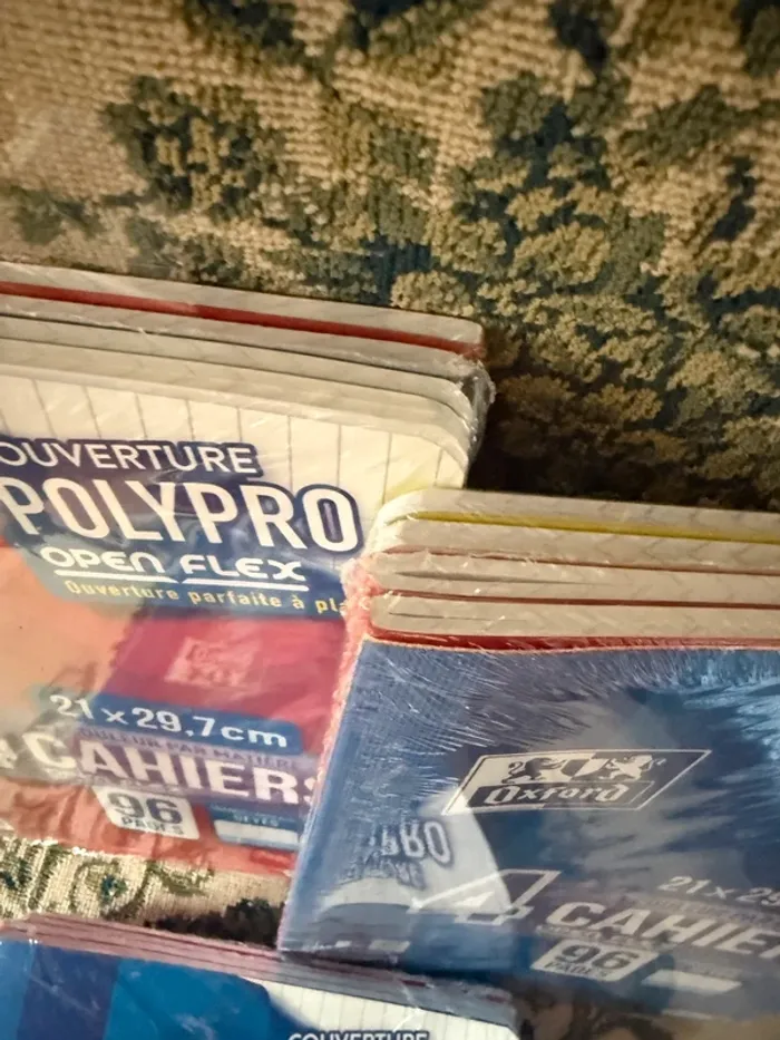Oxford lot de 12 cahiers Polypro A4 Openflex 96 pages grand carreaux Seyes - photo numéro 3