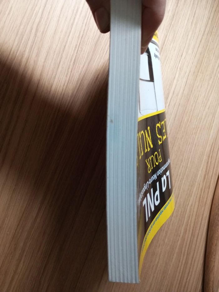 La PNL pour les nuls - photo numéro 6