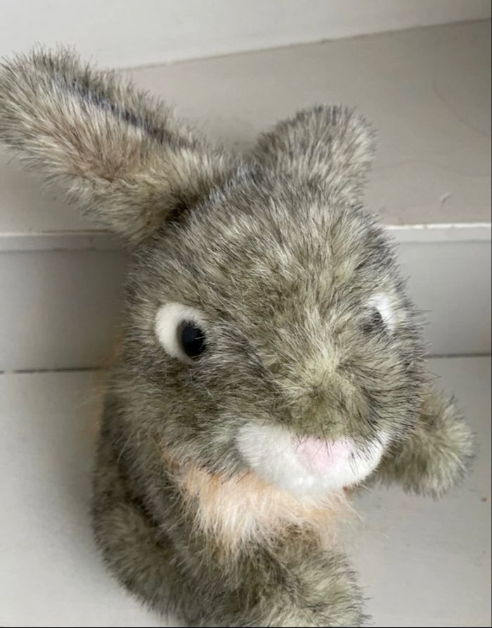 Peluche lapin - photo numéro 5