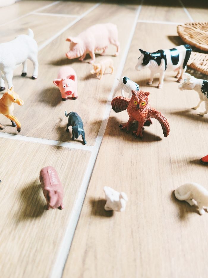 🐷Lot divers animaux de la ferme Montessori en plastique - photo numéro 3