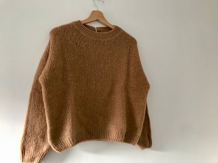 Pull camel - photo numéro 2