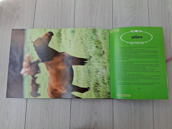 Livre Mes plus belles histoires de poney 🐴 - photo numéro 6