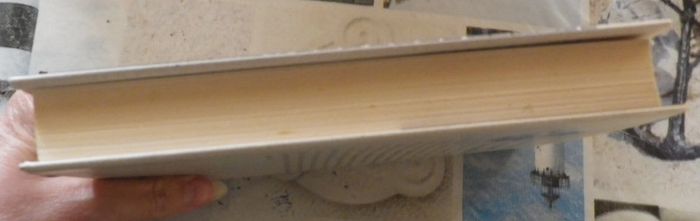 Le chant du papillon de Gilbert Bordes Ed. France Loisirs - photo numéro 5