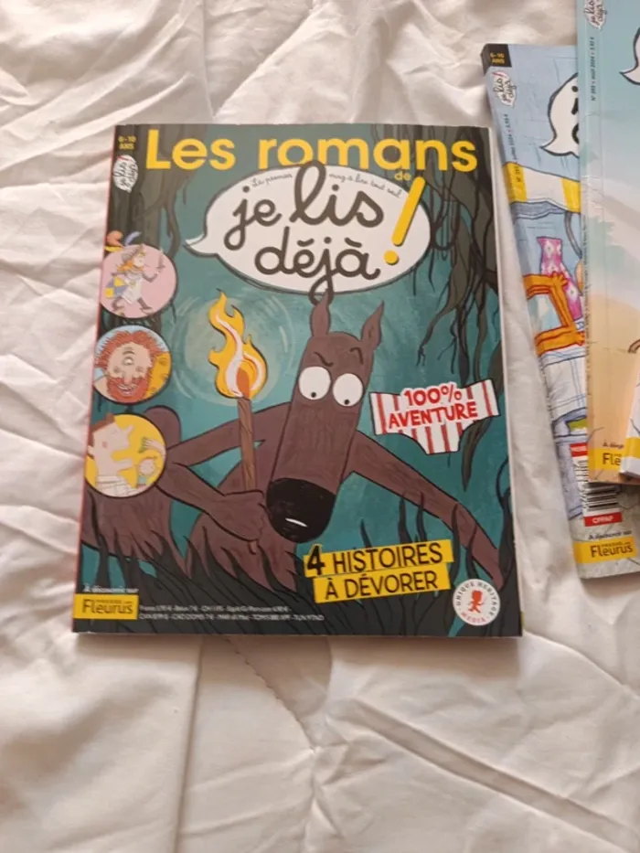 Lot 12 livres je lis déjà - photo numéro 11