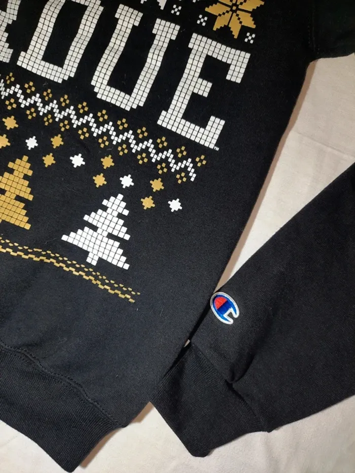 Pull champion - photo numéro 3