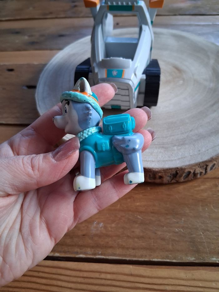 Paw Patrol - photo numéro 9