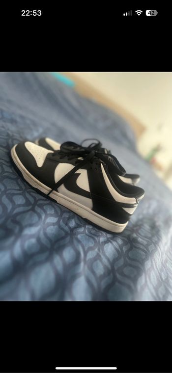 Dunck low