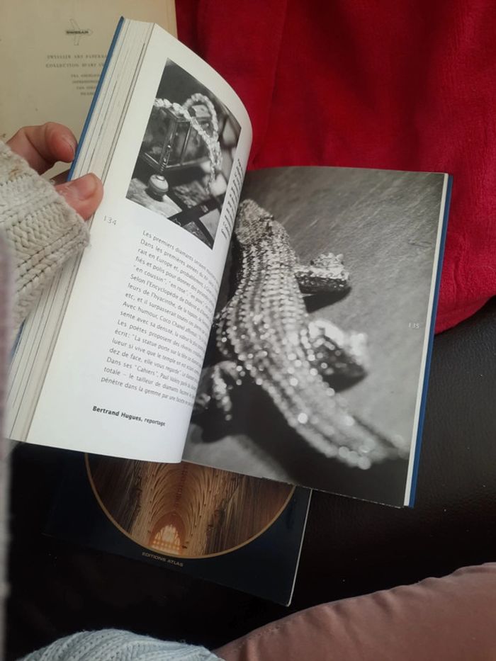 Lot de 2 livres historique peinture photo p o - photo numéro 5