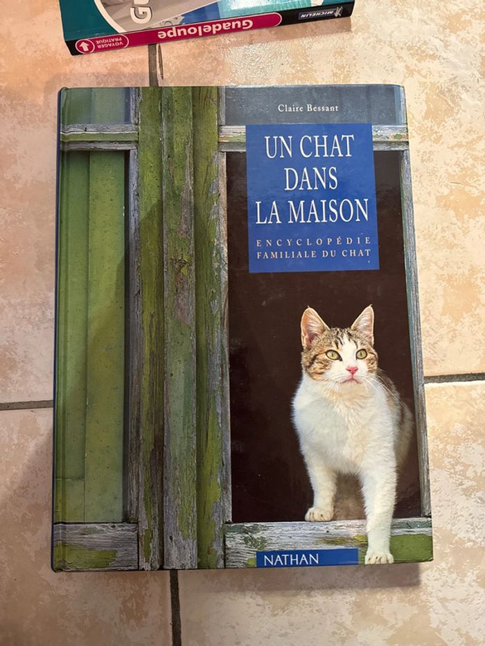 Un chat dans la maison