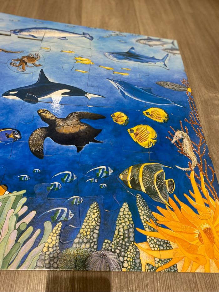 Puzzle Géant Djeco - photo numéro 6