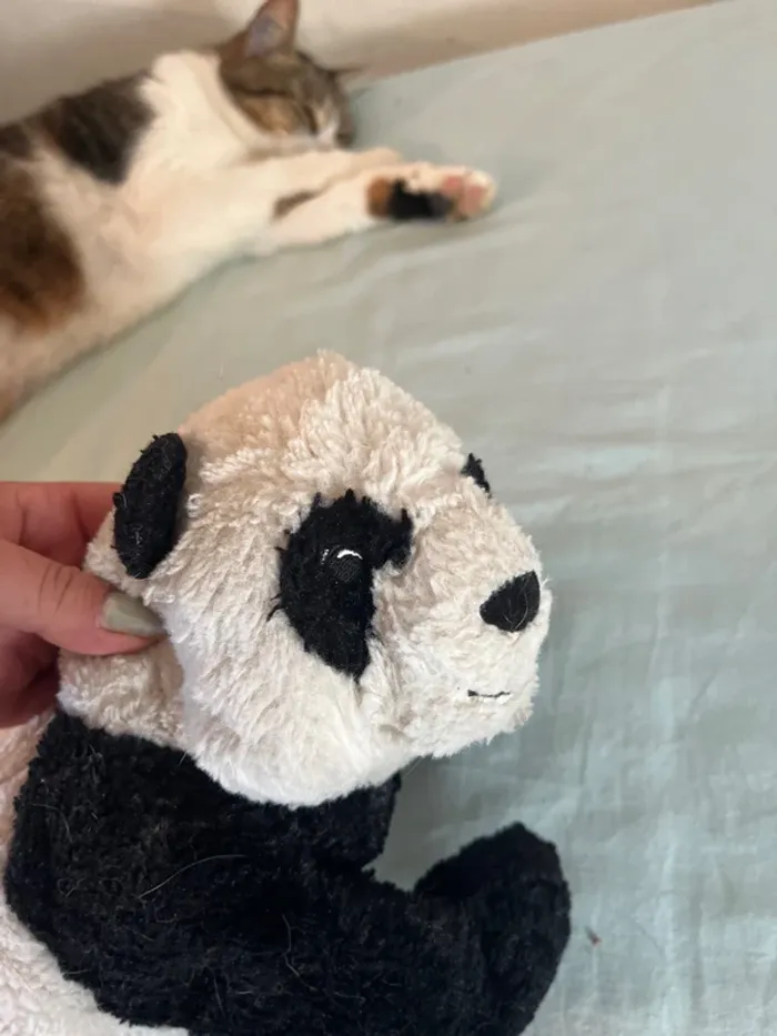 Panda ikea - photo numéro 5