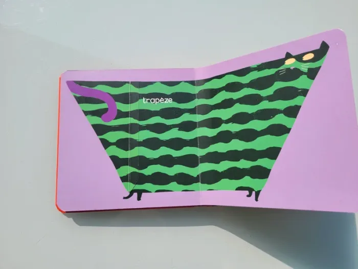 Livre animé 🐱 Les Chats (formes) 🐈 Éditions Sarbacane - photo numéro 9