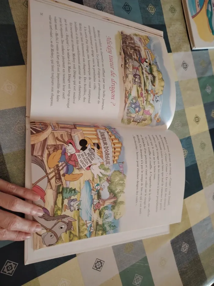 Livre Disney - photo numéro 14