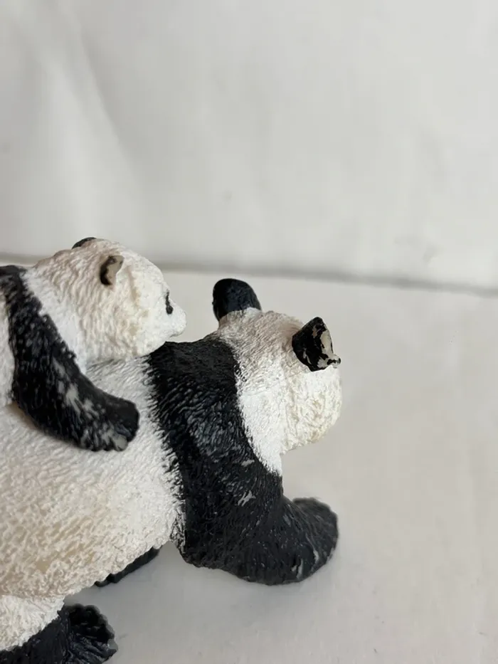 Panda papo - photo numéro 3