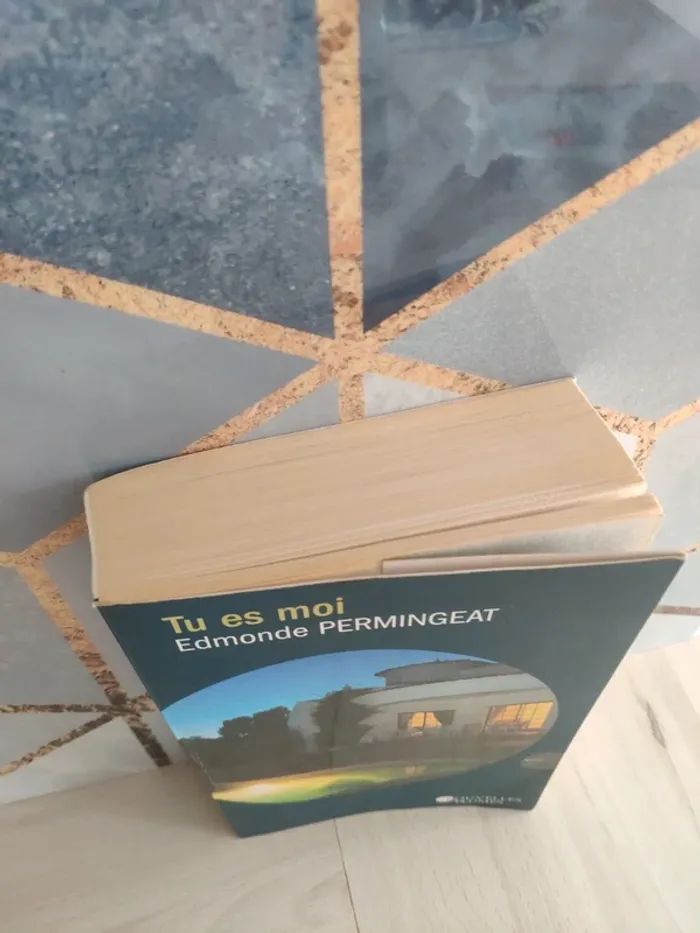 Livre grand format Tu es moi Permingeat - photo numéro 2