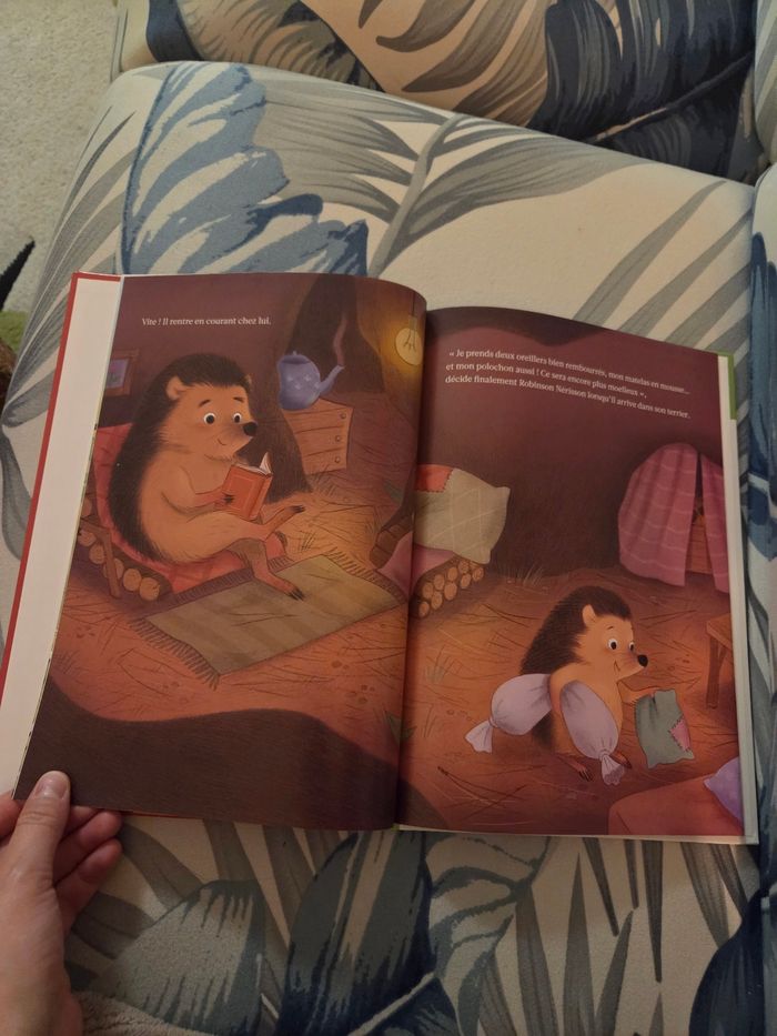 Livre Robinson l'aventurier - photo numéro 3