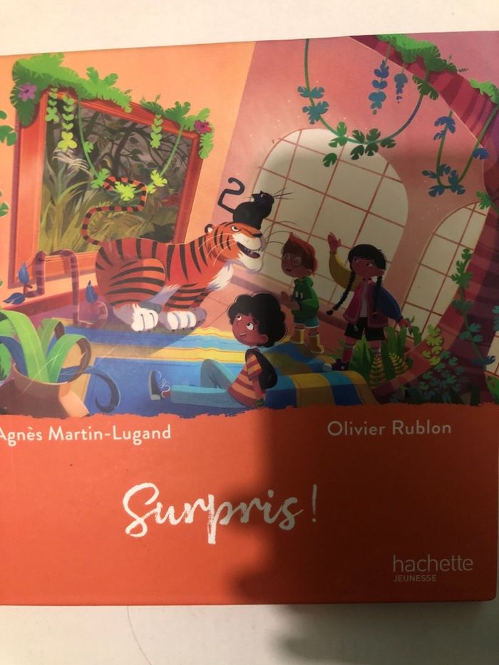 Livre Mac Donalds Surpris