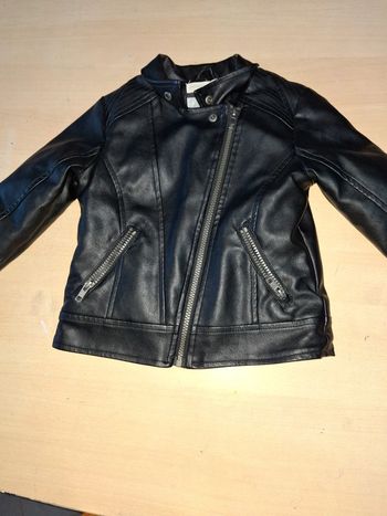 Veste simili