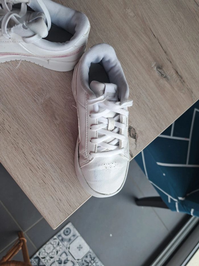 Puma rose - photo numéro 2