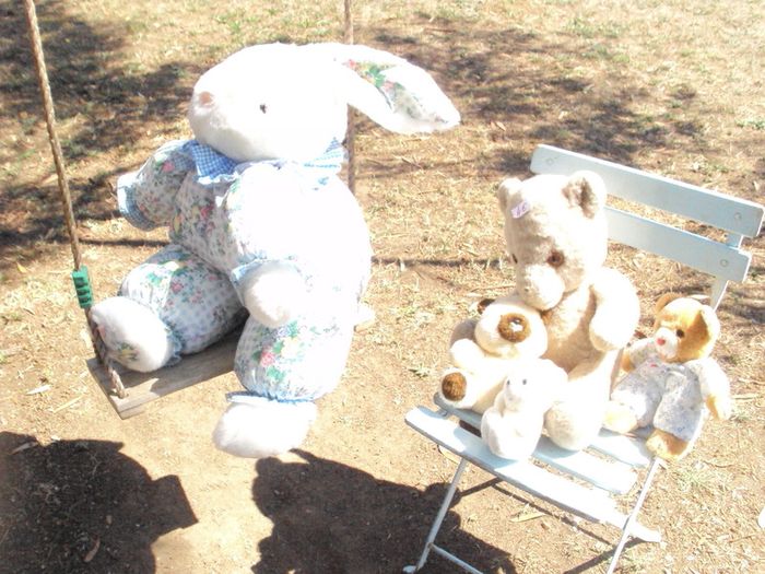 peluche