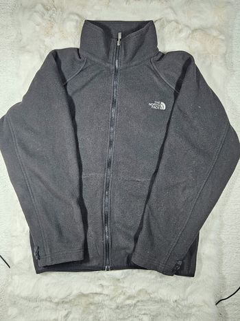 Veste Polaire The North Face gris
