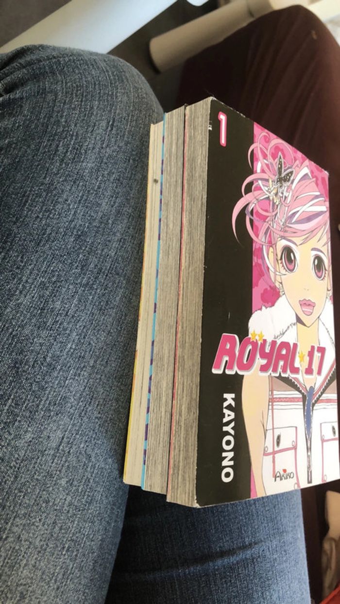 Manga Royal 17 - photo numéro 3