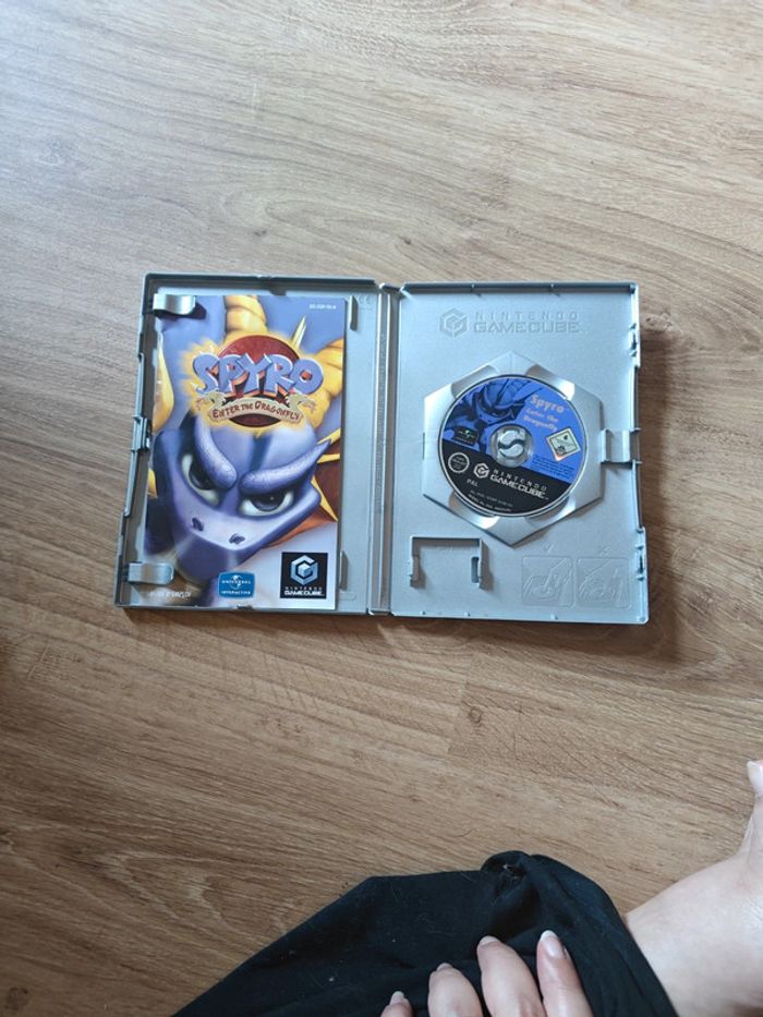 Spyro Enter the Dragonfly Gamecube - photo numéro 4