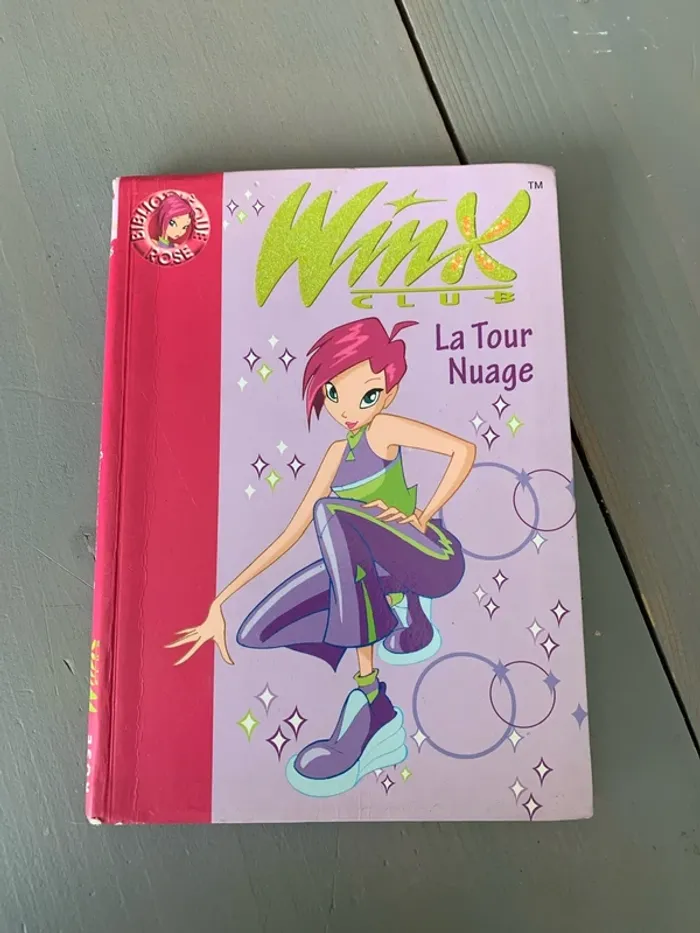 Livre Bibliothèque Rose Winks club