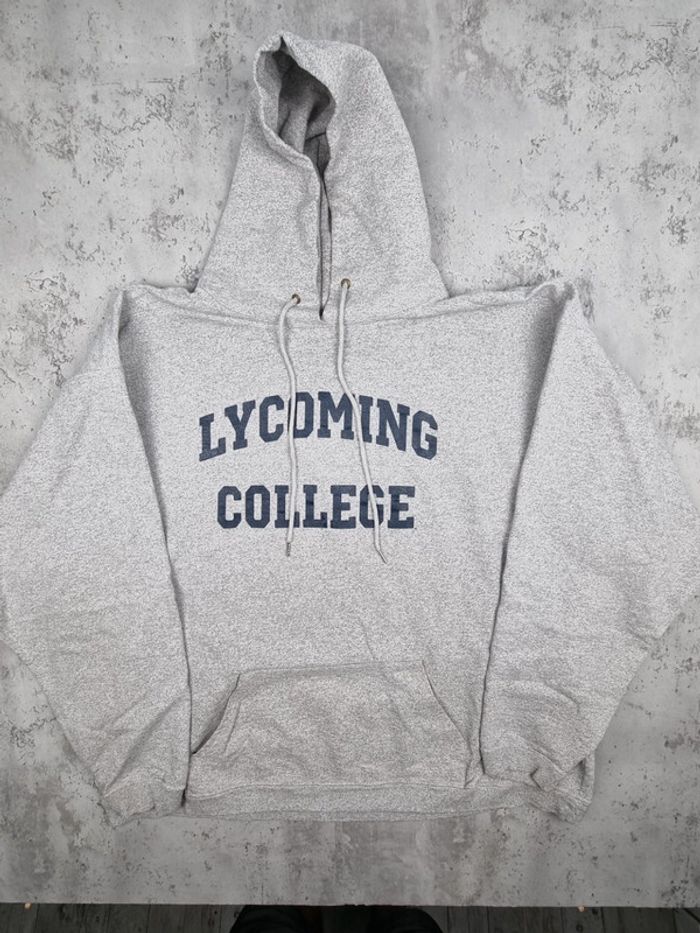 Pull à capuche universitaire Lycoming College – Gris – Taille XXXL Hommes (mesures en photos) - photo numéro 3