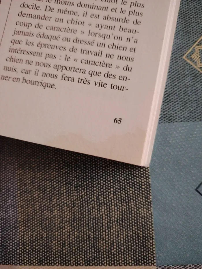 Livre sur le boxer - photo numéro 11