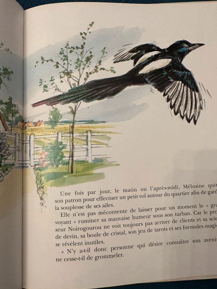Caroline et l’apprenti magicien sorcier bords rouges édition limitée livre bd Album Hachette - photo numéro 5