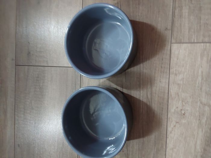 Lot de 2 bol spéciale mont d'or