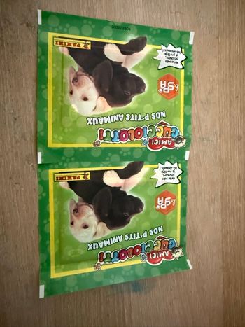 Lot de pochettes Panini