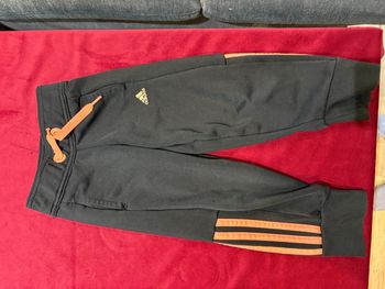 Jogging adidas