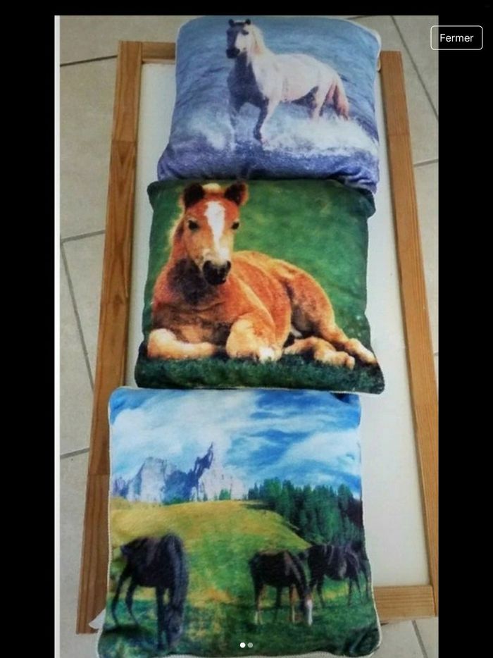Lot de 3 petit coussin  imprimé 🐎  en cadeau une pochette - photo numéro 7
