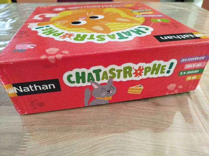 Catastrophe - photo numéro 4