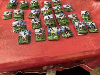 Collection complète magnets coupe du monde France 2010